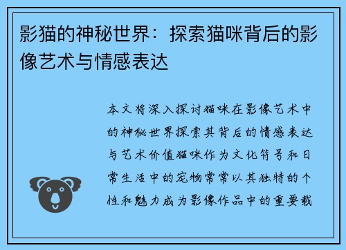 影猫的神秘世界：探索猫咪背后的影像艺术与情感表达